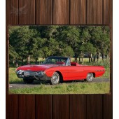 Металлическая табличка Ford Thunderbird Sports Roadster 320